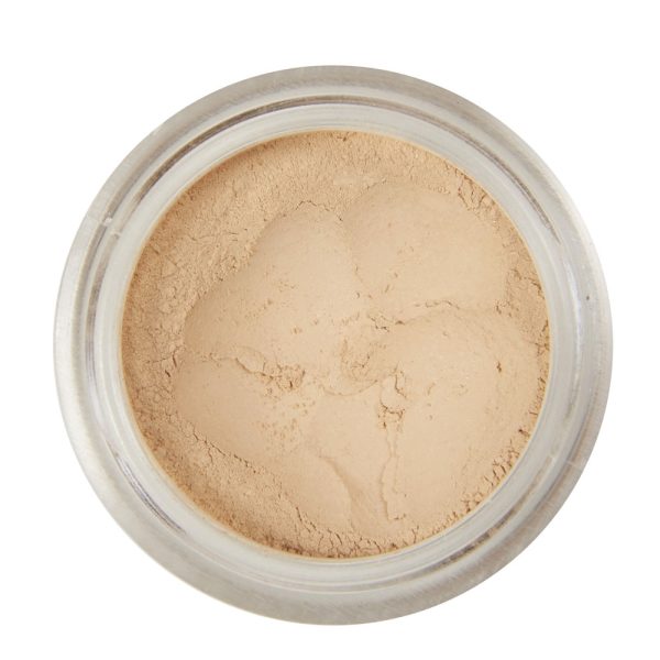 LOOSE MINERAL FOUNDATION SAMPLES