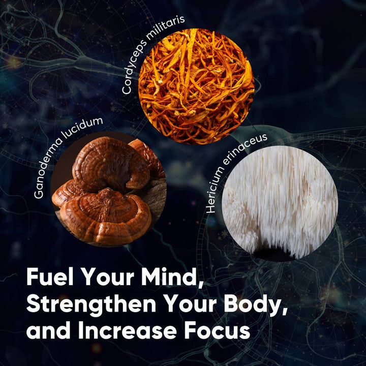 NEUROSHROOMS