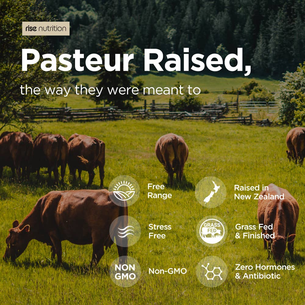 GRASS-FED BEEF ORGAN COMPLEX 5-IN-1 FOOD