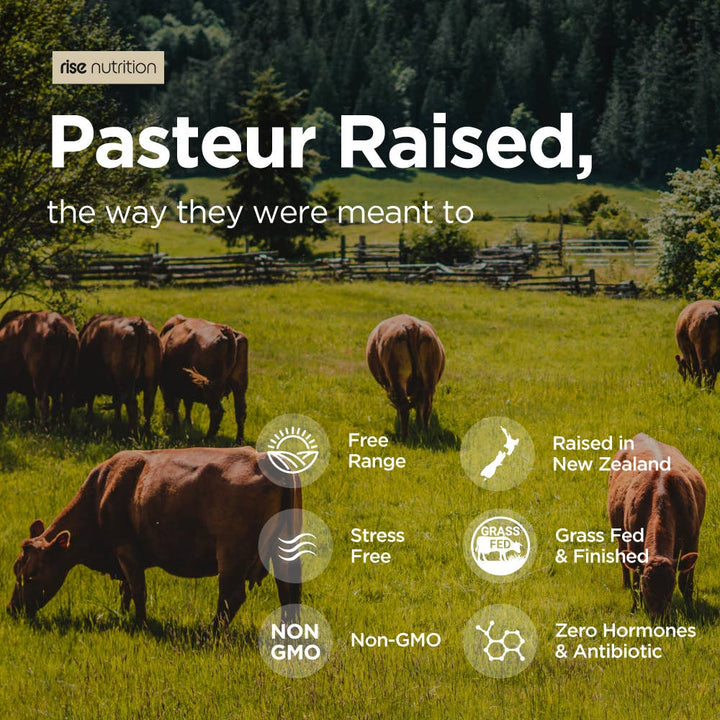 GRASS-FED BEEF ORGAN COMPLEX 5-IN-1 FOOD