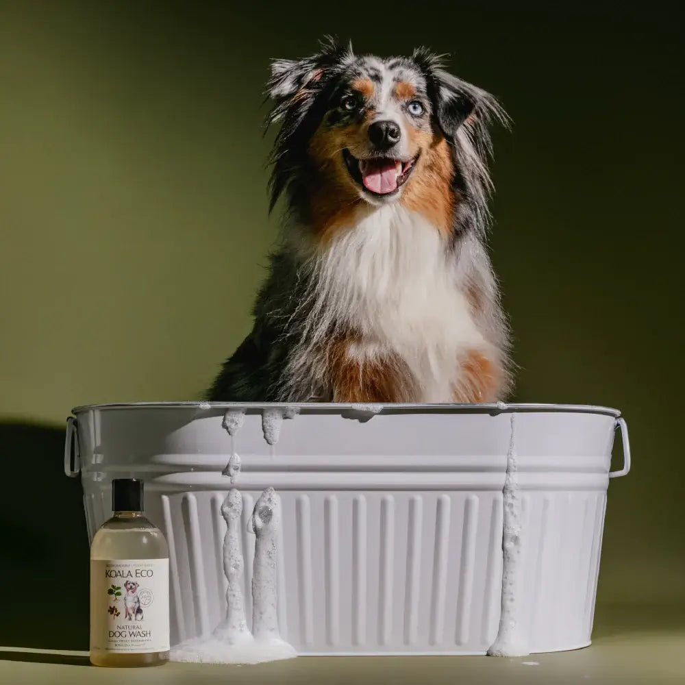 SWEET MARJORAM & ROSALINA DOG WASH