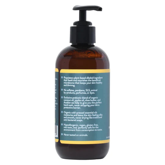 CITRUS & SEA KELP HAND WASH