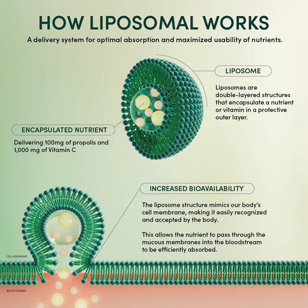 PROPOLIS + VITAMIN C LIPOSOMAL