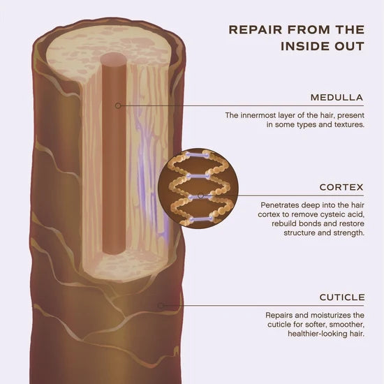 OVERNIGHT REPAIR SERUM