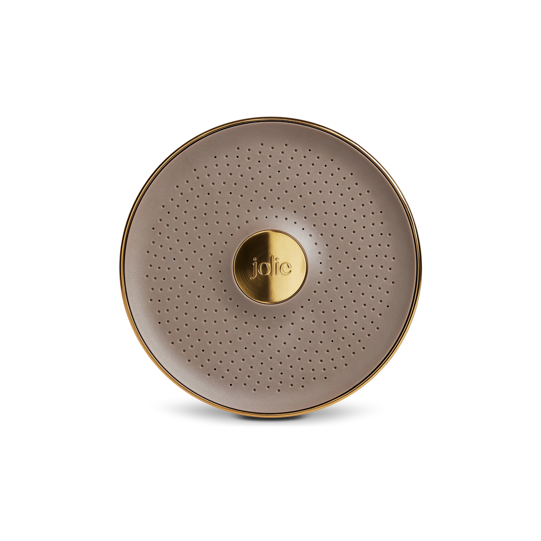 THE FILTERED SHOWERHEAD - BRUSHED GOLD