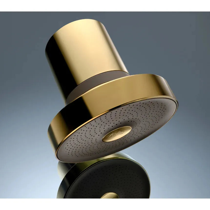 THE FILTERED SHOWERHEAD - BRUSHED GOLD