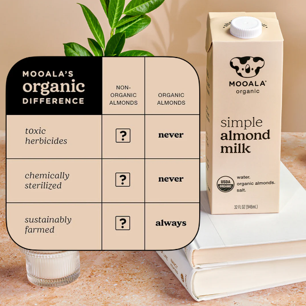 SIMPLE ALMOND MILK