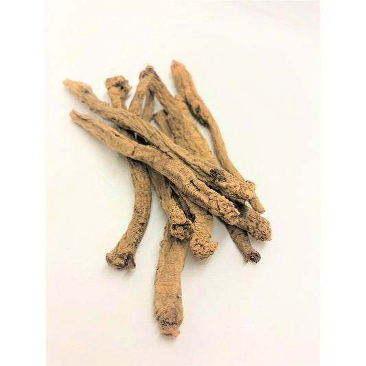 CODONOPSIS ROOT - DANG SHEN