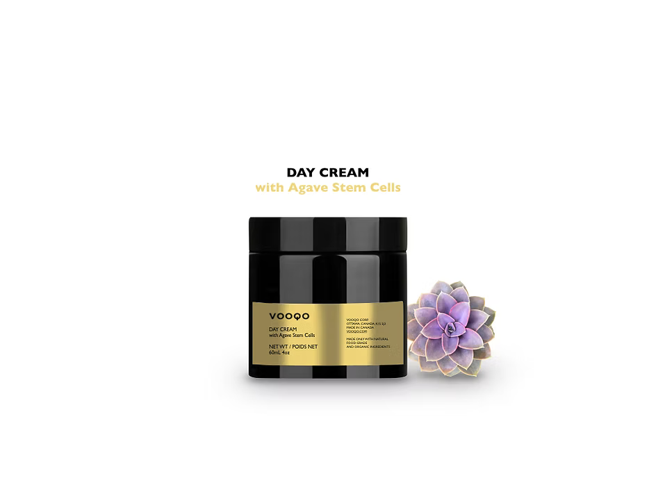 DAY CREAM - SPF 25+