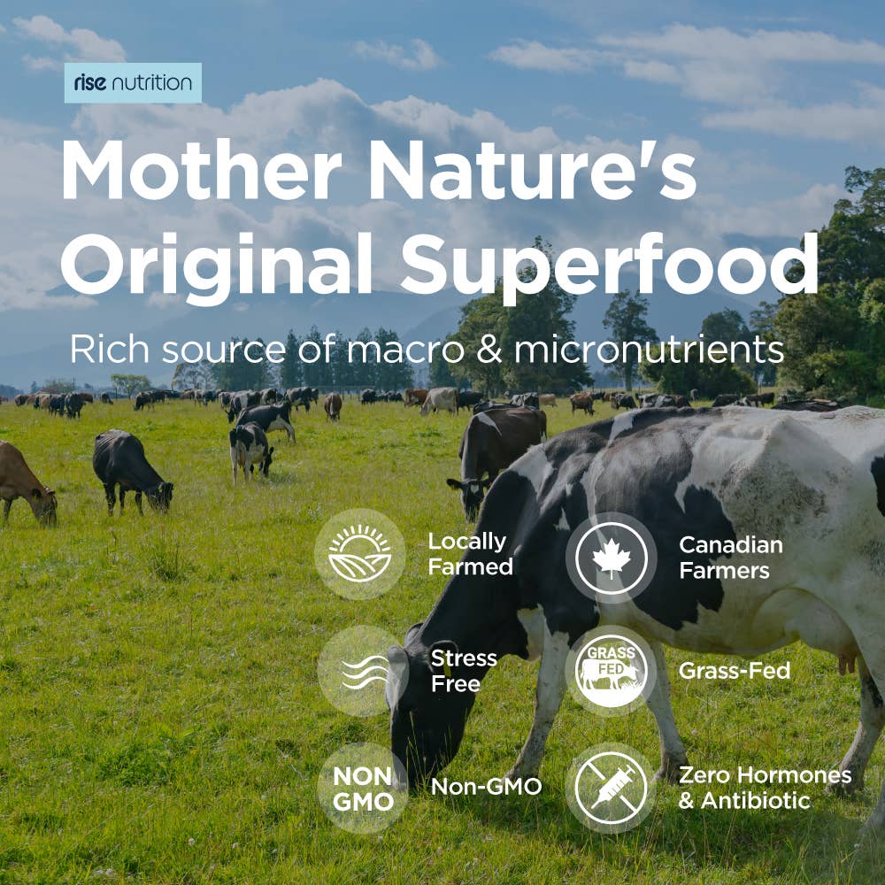 GRASS-FED COLOSTRUM POWDER - GUT & IMMUNE