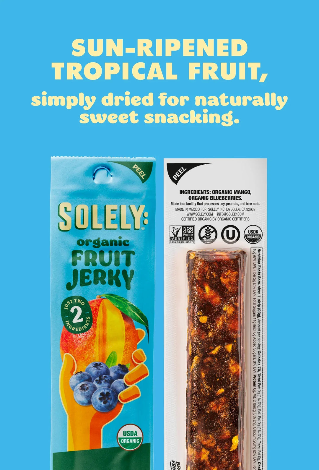 ORGANIC MANGO BLUEBERRY FRUIT JERKY